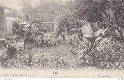 Cappellen. Palmenhof