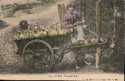 Laitière Flamande