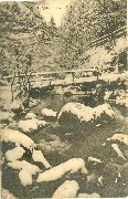  Vallée de la Hoëgne - Pont Léopold II
