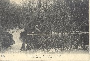  Environs de Spa - La Vallée de la Hoëgne - La Cascade et le Pont Léopold II