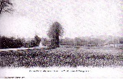 Kemmelberg. Algemeen Gezicht. - Mont Kemmel. Vue générale