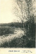 Genk-Staelen Bord de l Etang