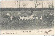 Kruisweg-Lillo. In den Boomgaard
