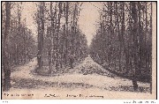Boitsfort. - Diependelleweg