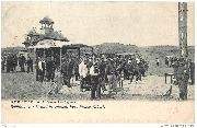Wenduyne. Grand Tir Annuel. Parc Prince Albert