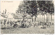 Cours d'apiculture