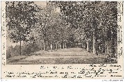 MARCHE. Allée du Monument.