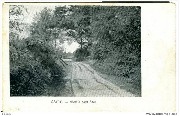  Genck Chemin sous-bois