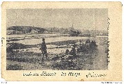 Genck Environs de Hasselt Les étangs
