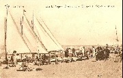La Panne. Sur la Plage - Chars à voile, Whopee et Kayacs au repos
