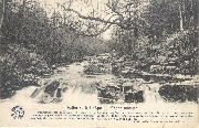 Vallée de la Hoëgne - Chêne rustique Vallée de la Hoëgne - Chêne rustique