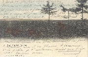 Les Hautes  Fagnes, Solitude