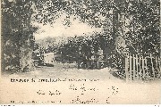 Environs de Bruxelles Vert-Chasseur