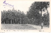 Bonsecours-Péruwelz. Entrée du Bois de Sapin
