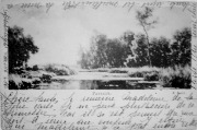 SERIE ARTISTIQUE. Paysage. W. Roelofs.