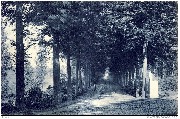 Aerschot. Allée du Chateau de Schoonhoven