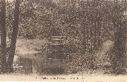 Vallée la Hoëgne - Pont du Renard