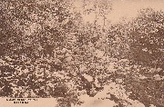 Sart-lez-Spa. (Stalle). Pont Bouhard