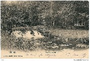 Un coin du Parc