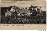 La Panne. Frontière. Hameau du Mol