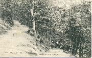 Spa. Montagne Annette et Lubin