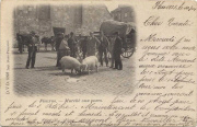 FLEURUS. Marché aux Porcs.
