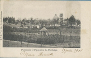 Panorama et Pépinières de Montaigu