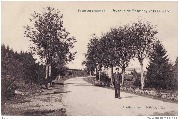 Francorchamps. Avenue de Malmedy vers la Gare