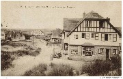 Duinbergen-sur-mer. Avenue des Mouettes