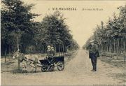 Ste-Mariaburg.  Avenue St-Roch