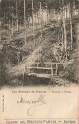 Les environs de Verviers. Chemin à Sohan