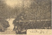  Environs de Spa - Vallée la Hoëgne - Cascade et le Pont Léopold II