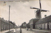 Turnhout. de Merodelei - Avenue de Merode