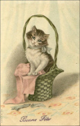 Chaton dans un panier-Bonne Fête