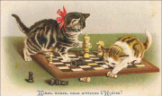 Chats jouant aux échecs