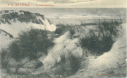 Westende. La Flore des Dunes