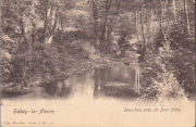 Habay-la-Neuve, Sous-bois pr�s de Pont d'Oie