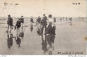 Wenduyne, Sur la Plage