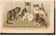 Quatre chats jouant avec une assiette