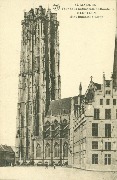 Malines. Tour de la Cathédrale St-Rombaut. Mechelen. Sint Romuldus Toren