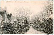 La Panne. Une Dr�ve dans les Dunes
