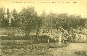 Uccle. Pensionnat des Dames de Marie-Un coin de jardin