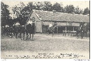 Brasschaet(Polygone). La rentrée à l'écurie