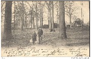 Beirendrecht. Zicht in de Star