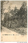 Les Environs de Bruxelles. Chemin � Linkebeek
