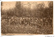 Institut Saint Joseph-St Jozef's gesticht-A la prairie In de weide