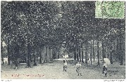 Mons. Avenue d'Havré