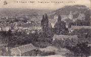 Vallée de la Meuse. Vue panoramique d'Andenne, prise des Roches de Faulx