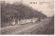 Heide-Calmpthout. Schoolvilla Diesterweg. Op wandel