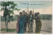 Congo Belge. Femmes broyant de la farine